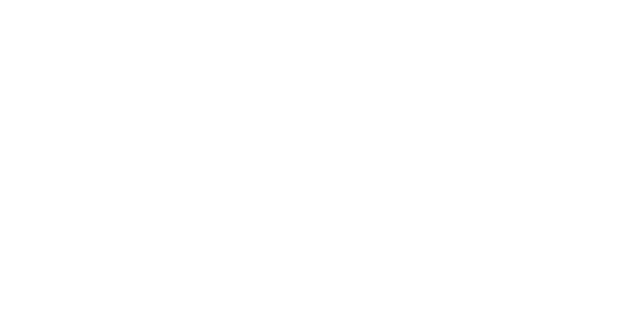 Bridge Point White Logo